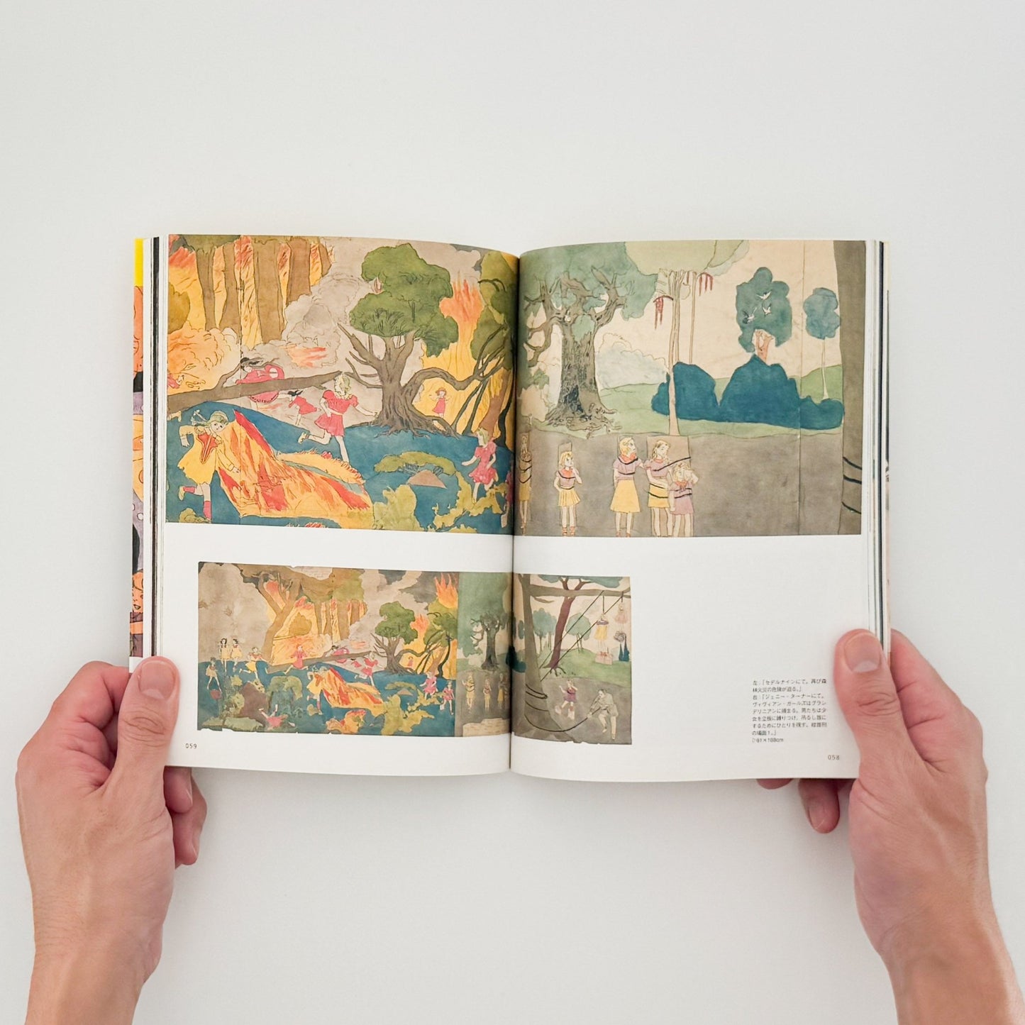 ヘンリー・ダーガー　非現実を生きる（コロナ・ブックス） - 平凡社 - 文福