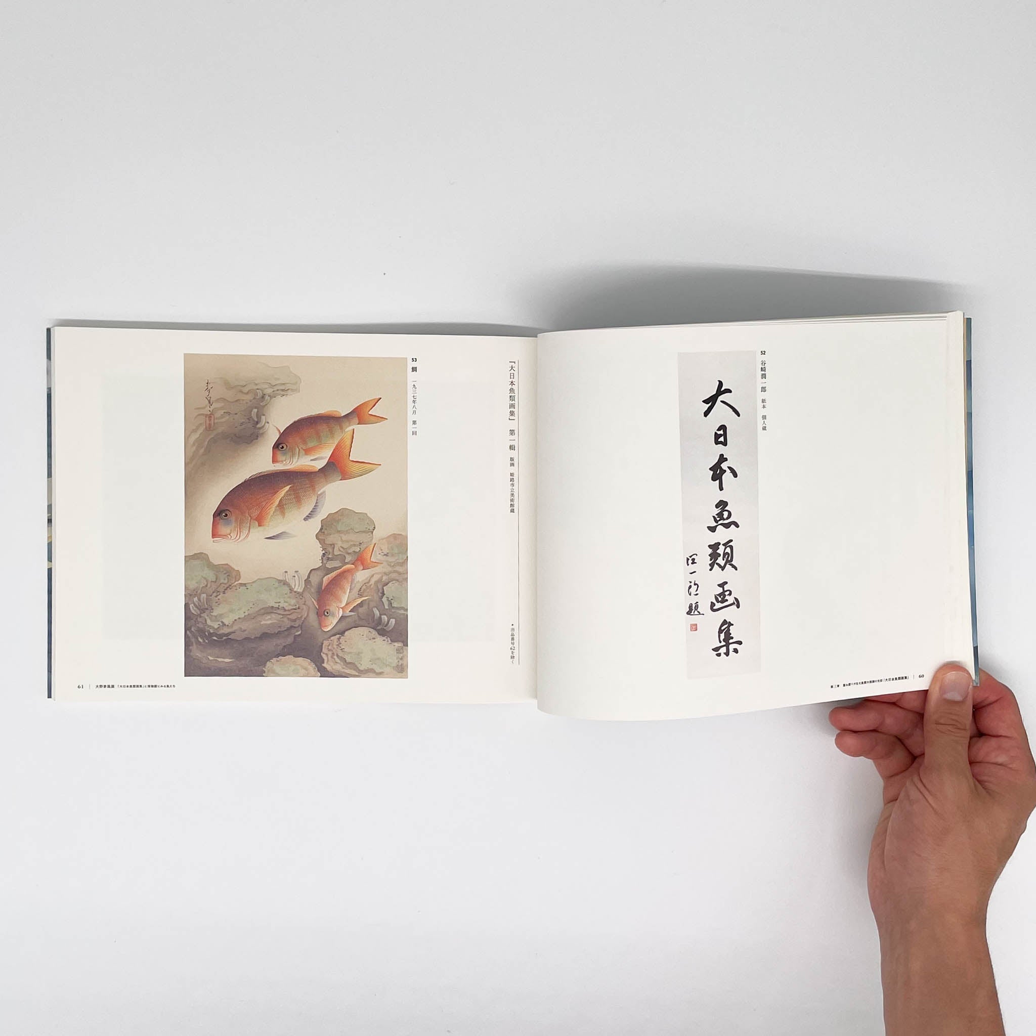 大野麥風展 「大日本魚類画集」と博物画にみる魚たち （展覧会図録