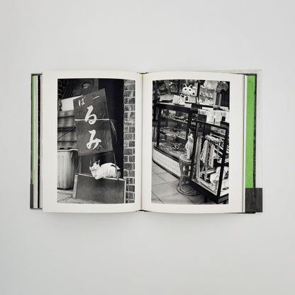 武田花　猫　 - 中央公論社 - 文福