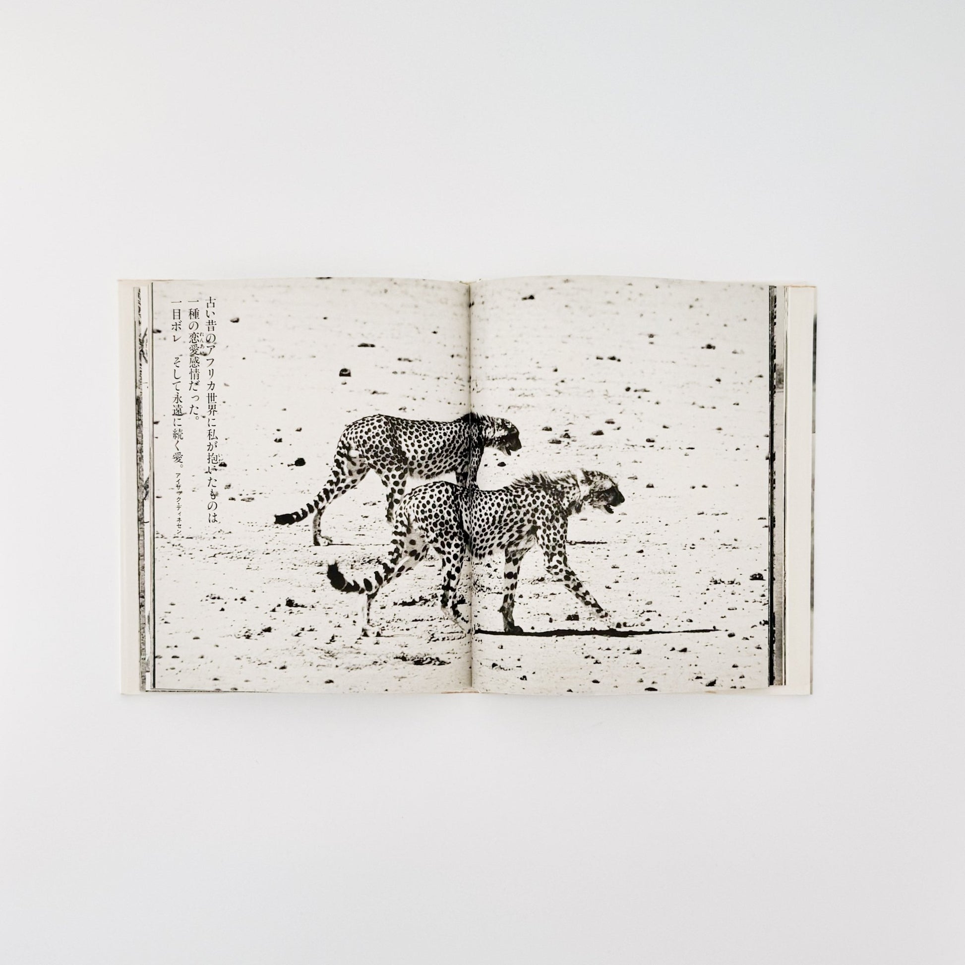 ピーター・ビアード　楽園からの最後の言葉 - 集英社 - 文福