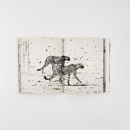 ピーター・ビアード　楽園からの最後の言葉 - 集英社 - 文福