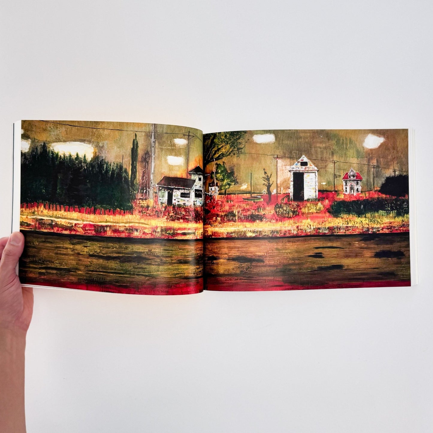 ピーター・ドイグ展図録 - 東京国立近代美術館 - 文福