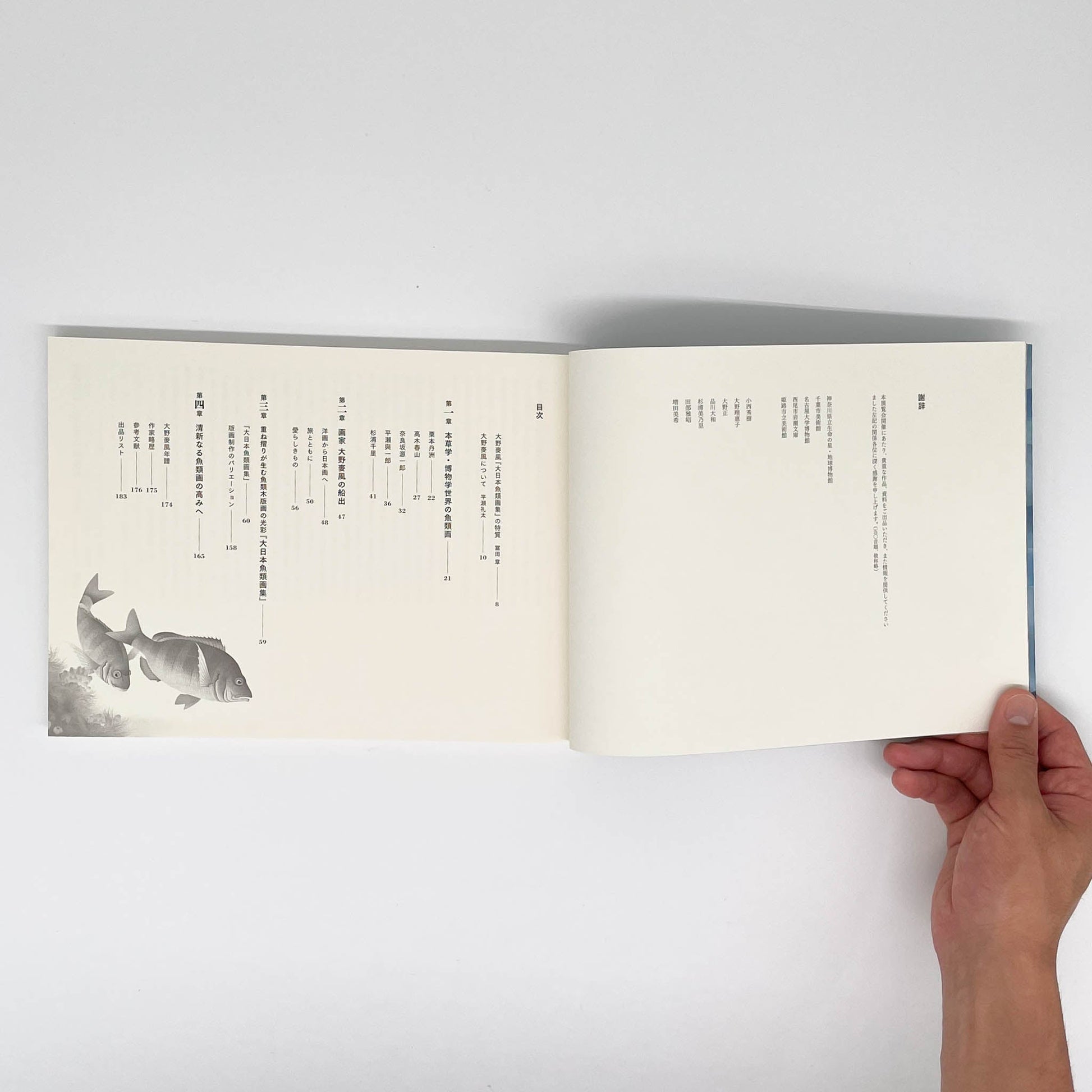 大野麥風展　「大日本魚類画集」と博物画にみる魚たち - 東京ステーションギャラリー - 文福