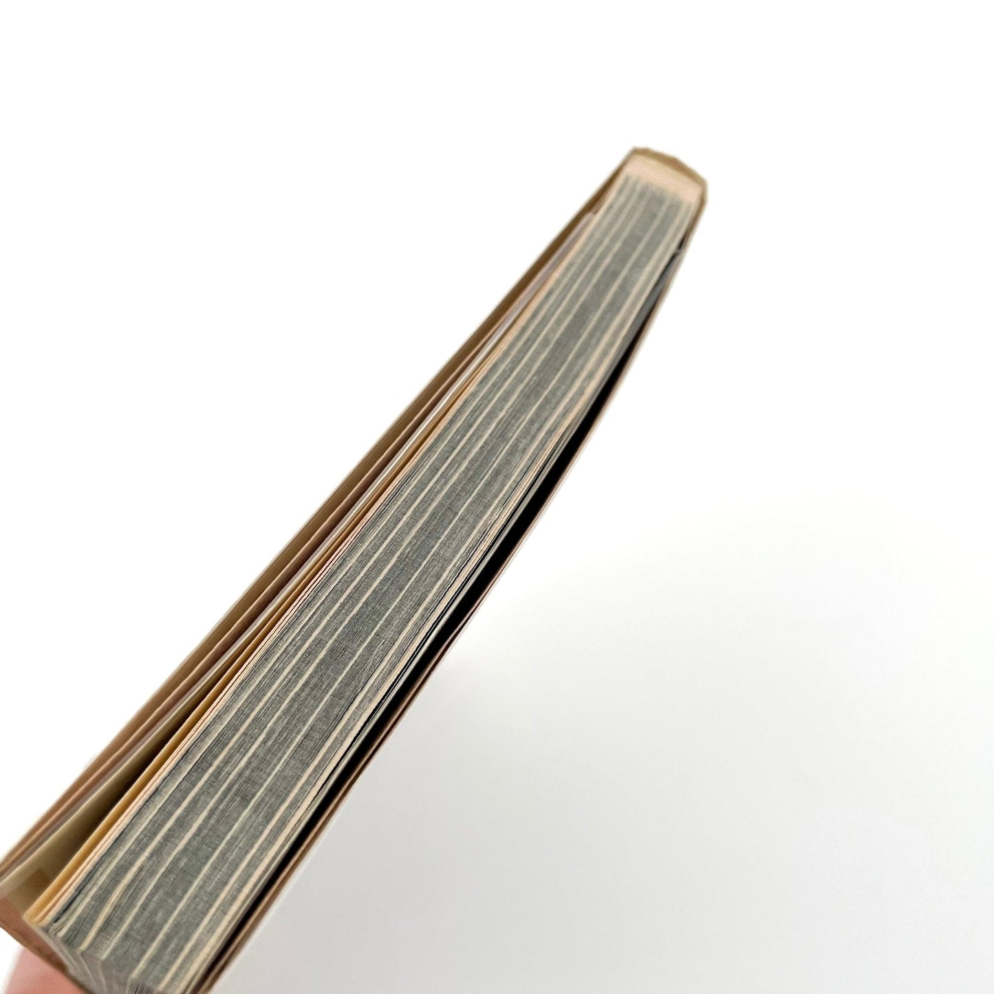 渡辺克巳　新宿群盗伝伝 - 晩聲社 - 文福