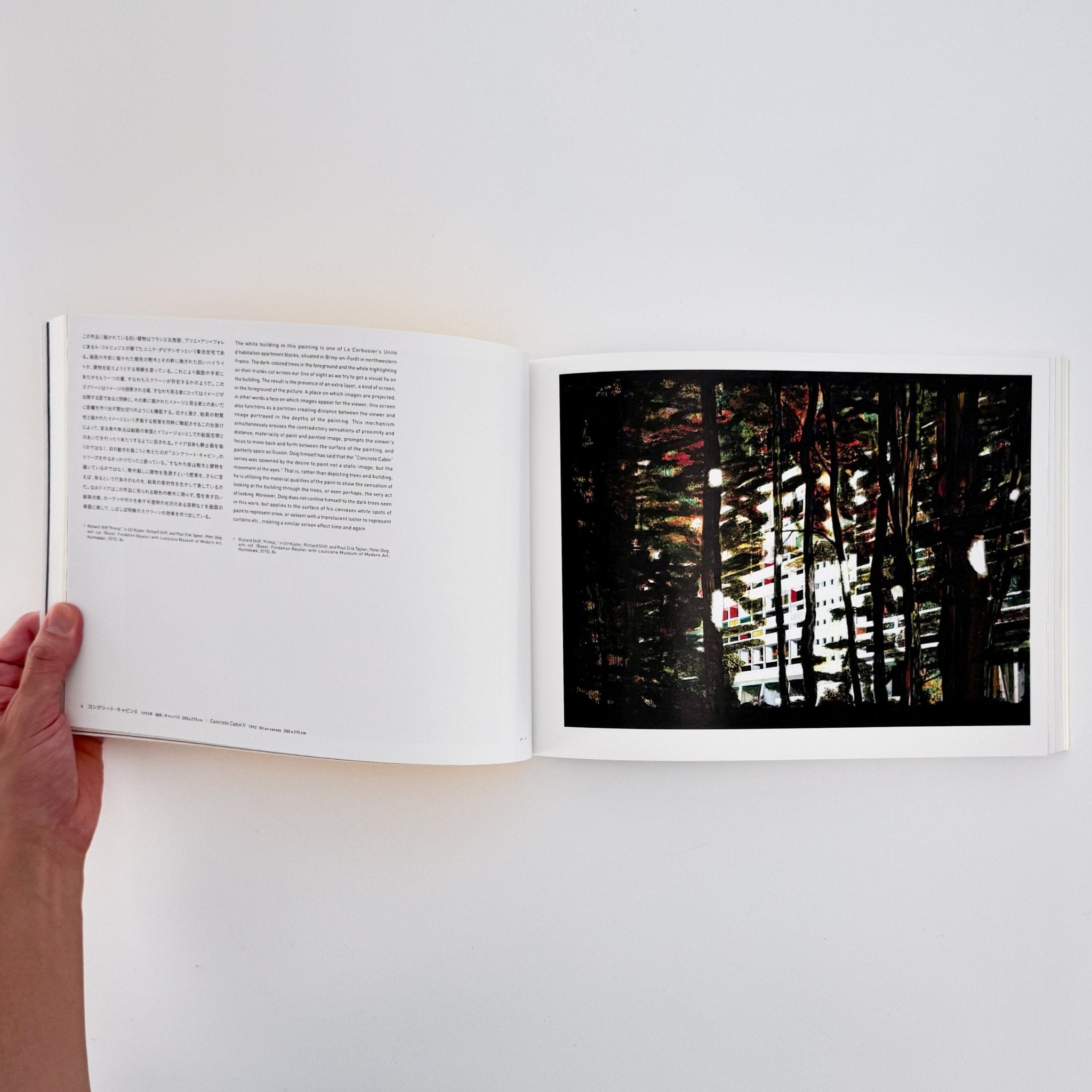 Peter Doig ピーター・ドイグ展図録 / 東京国立近代美術館 – 文福