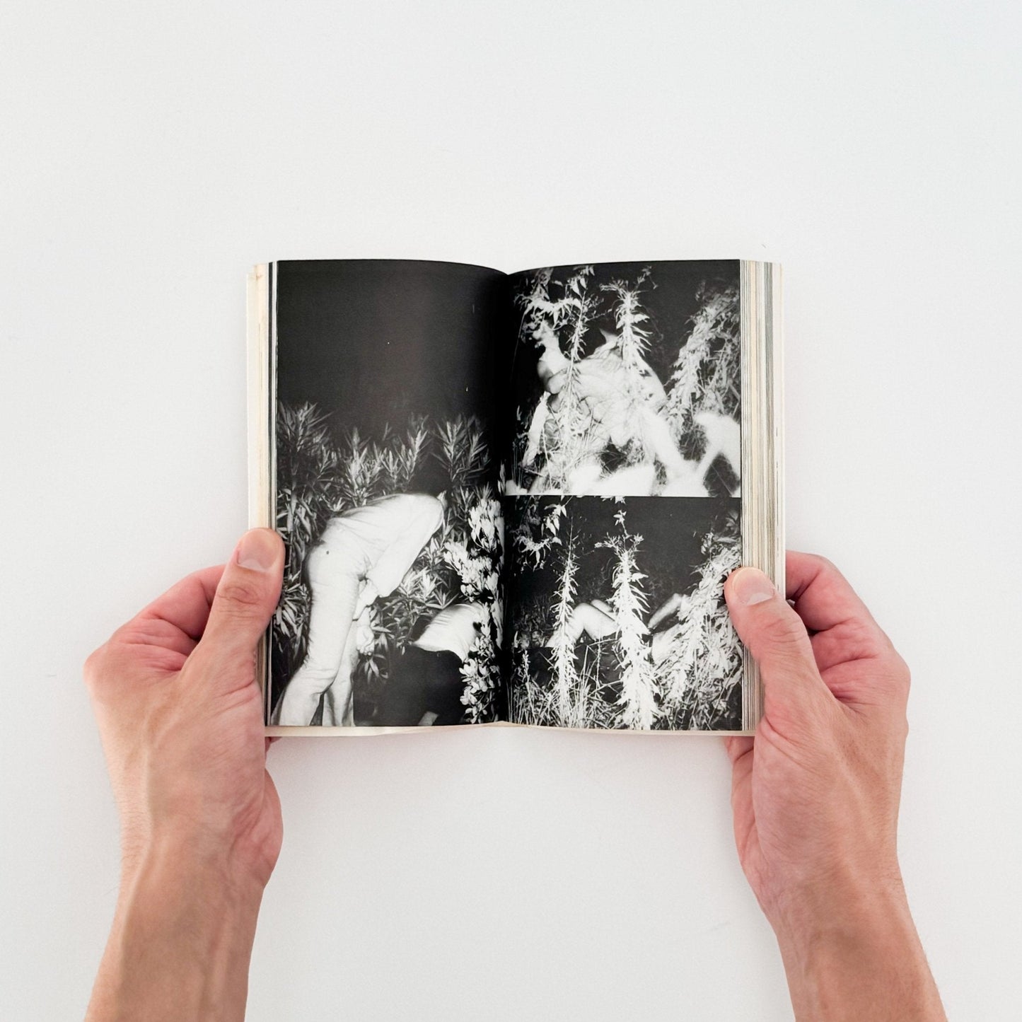 吉行耕平　シークレット写真術 - これが赤外線撮影だ！ - サンデー社 - 文福