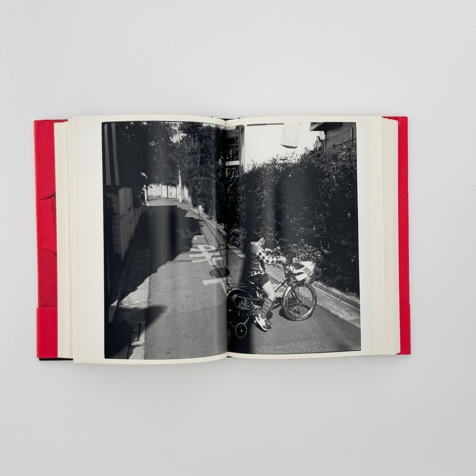 荒木経惟　写真私情主義 - 平凡社 - 文福