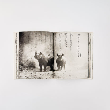 ピーター・ビアード　楽園からの最後の言葉 - 集英社 - 文福