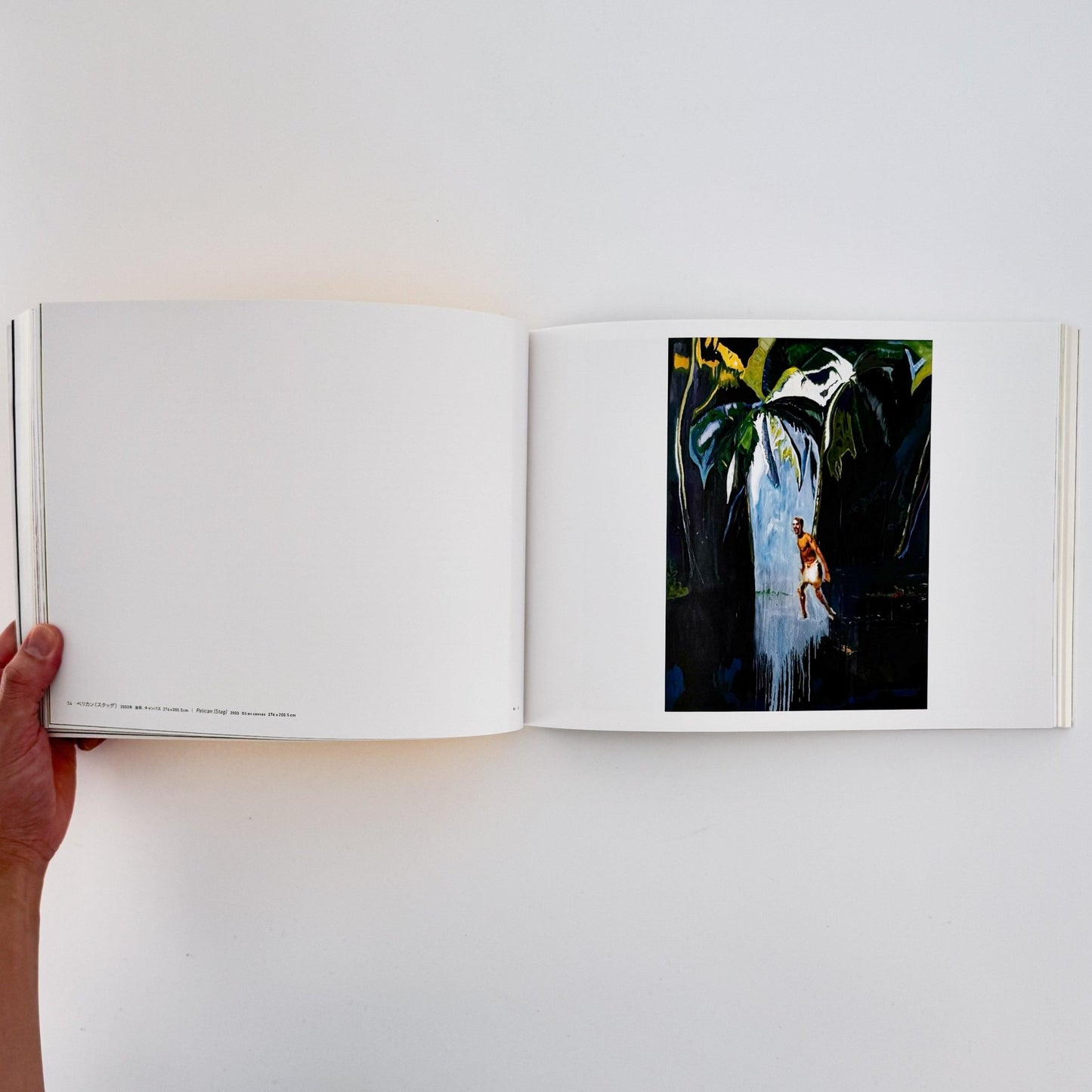 ピーター・ドイグ展図録 - 東京国立近代美術館 - 文福