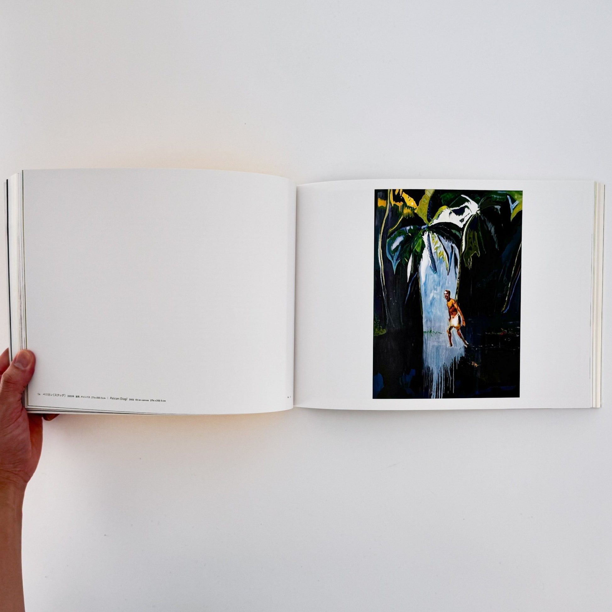 ピーター・ドイグ展図録 - 東京国立近代美術館 - 文福