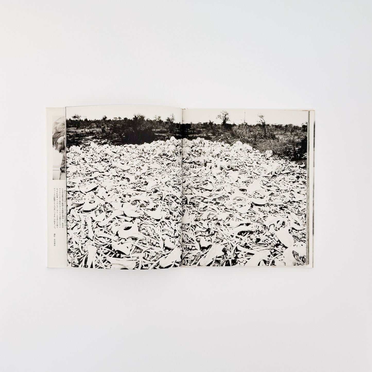 ピーター・ビアード　楽園からの最後の言葉 - 集英社 - 文福