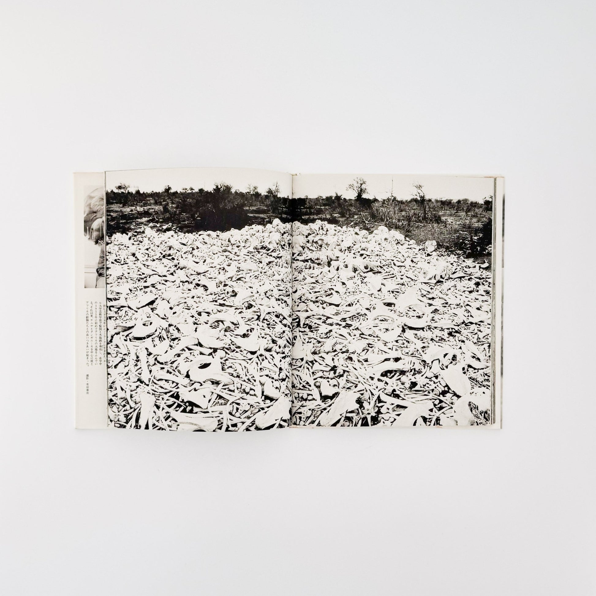 ピーター・ビアード　楽園からの最後の言葉 - 集英社 - 文福