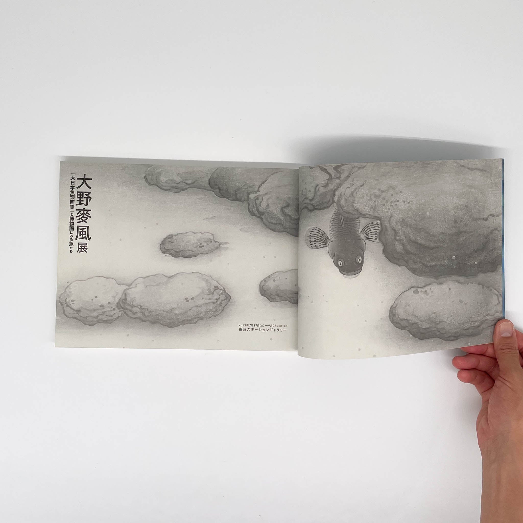 大野麥風展 「大日本魚類画集」と博物画にみる魚たち （展覧会図録