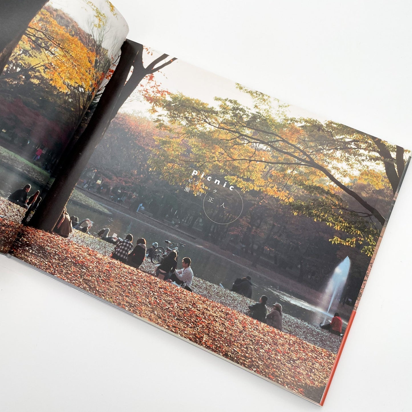 瀬戸正人　ピクニック - PLACE M - 文福