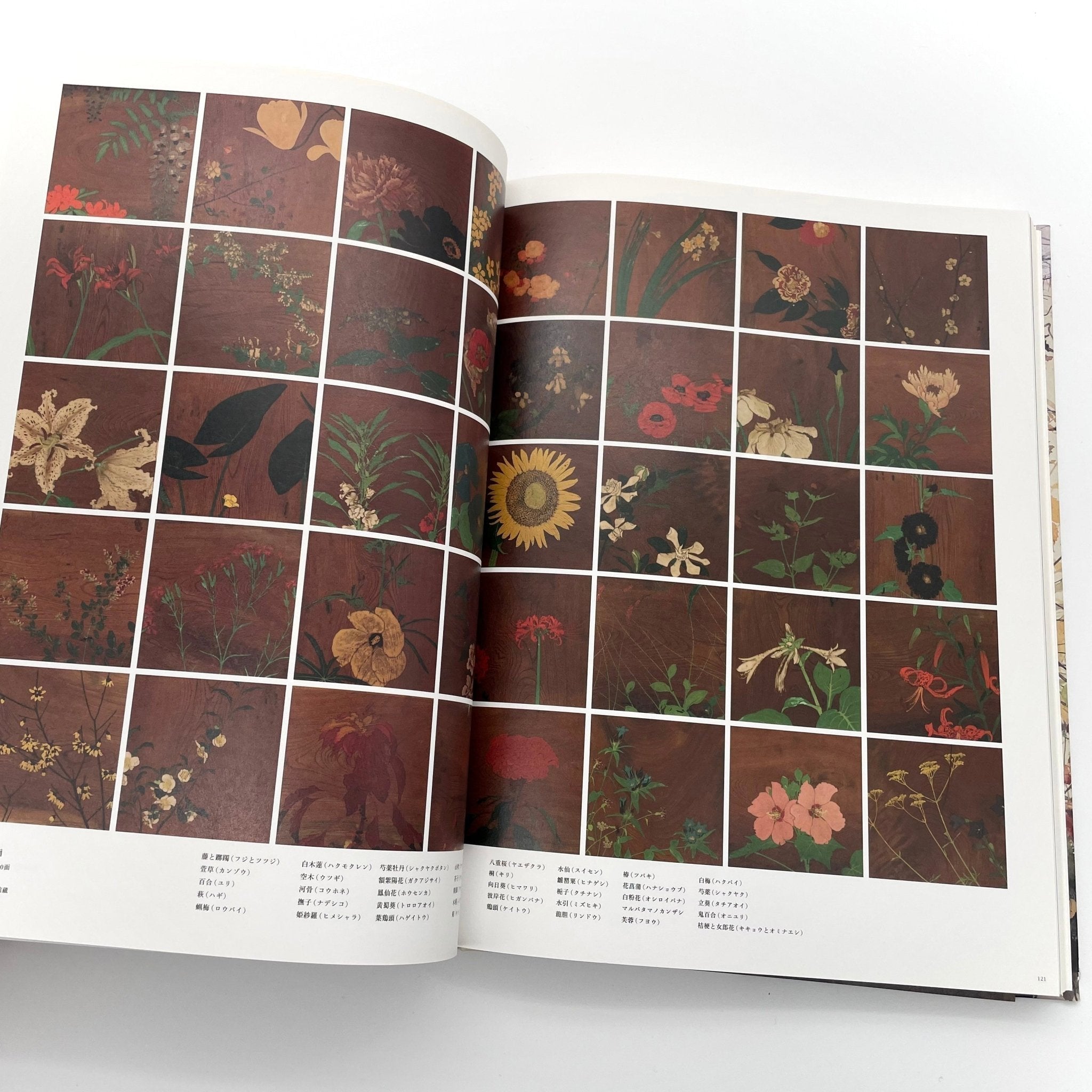 田中一村 新たなる全貌(展覧会公式図録） – 文福