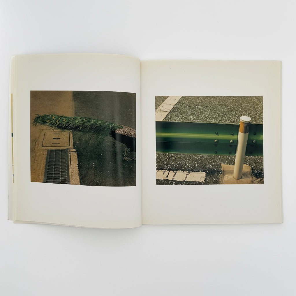 佐内正史写真集 生きている / 青幻舎 – 文福