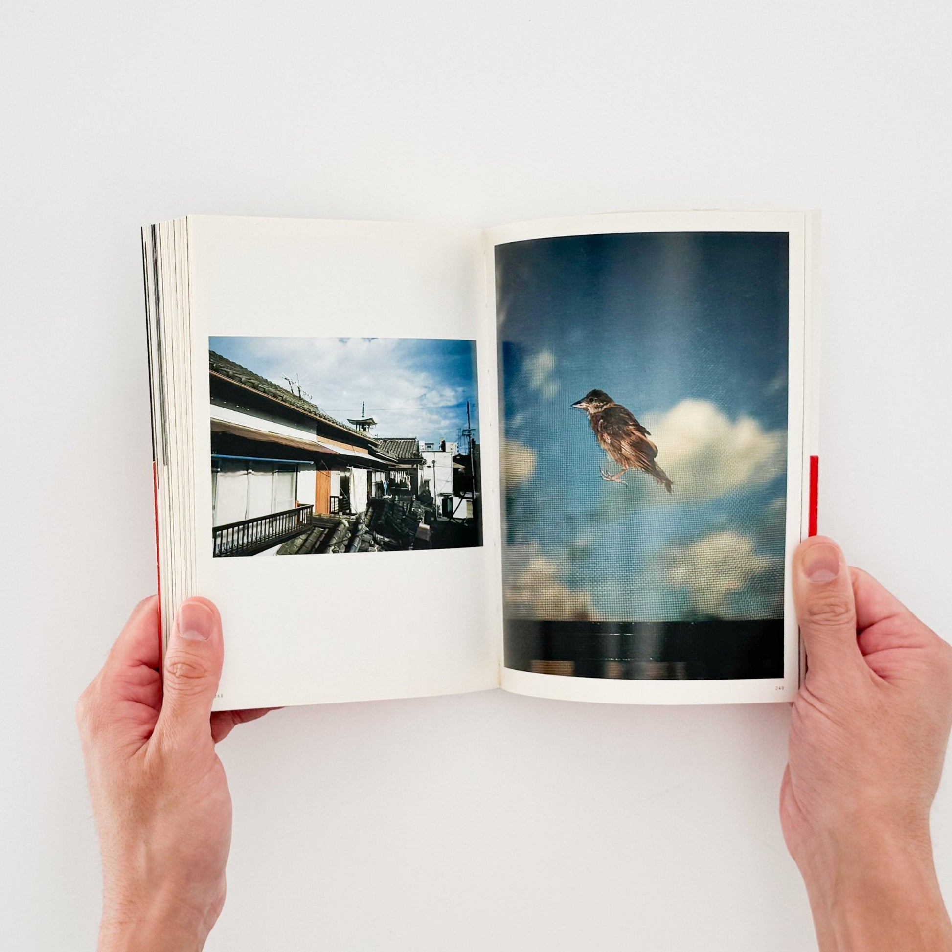 吉永マサユキ　申し訳ございません（フォトミュゼ） - 新潮社 - 文福