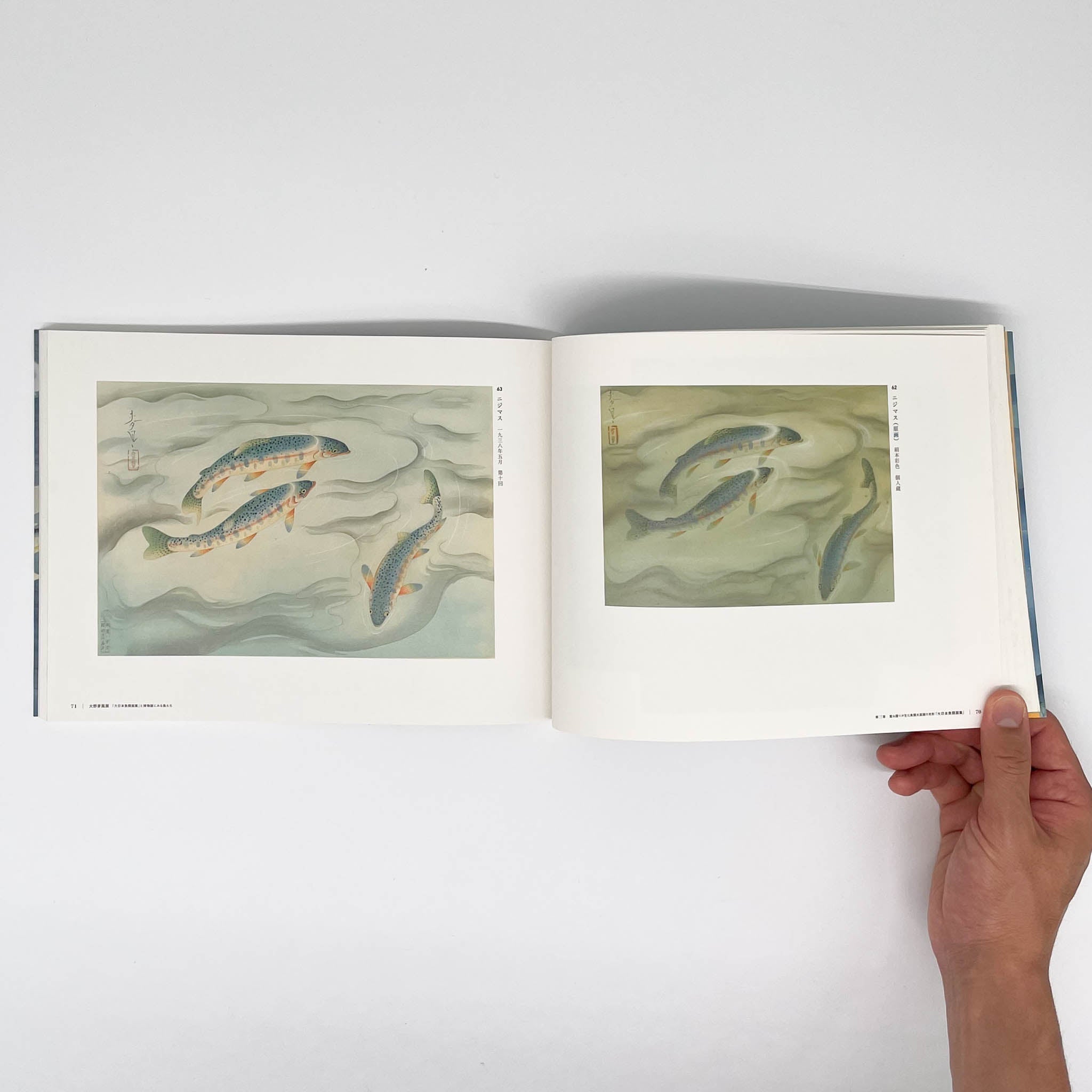 大野麥風展 「大日本魚類画集」と博物画にみる魚たち （展覧会図録