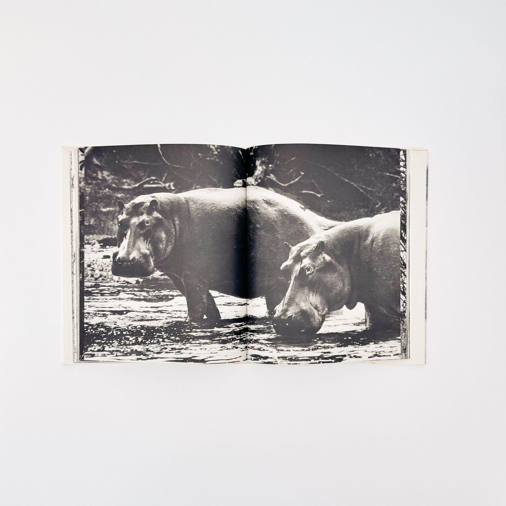 ピーター・ビアード　楽園からの最後の言葉 - 集英社 - 文福