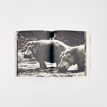 ピーター・ビアード　楽園からの最後の言葉 - 集英社 - 文福