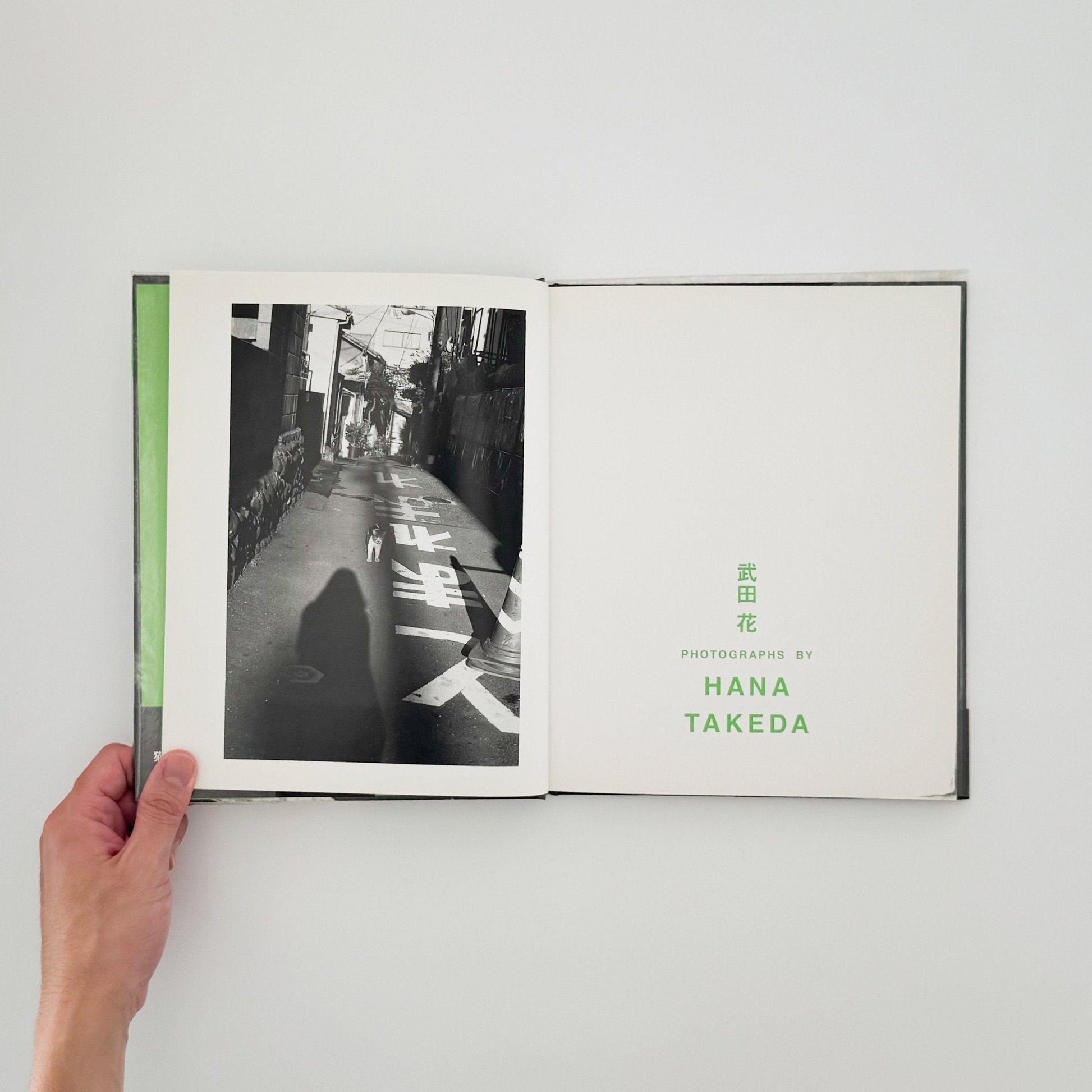 武田花　猫　 - 中央公論社 - 文福