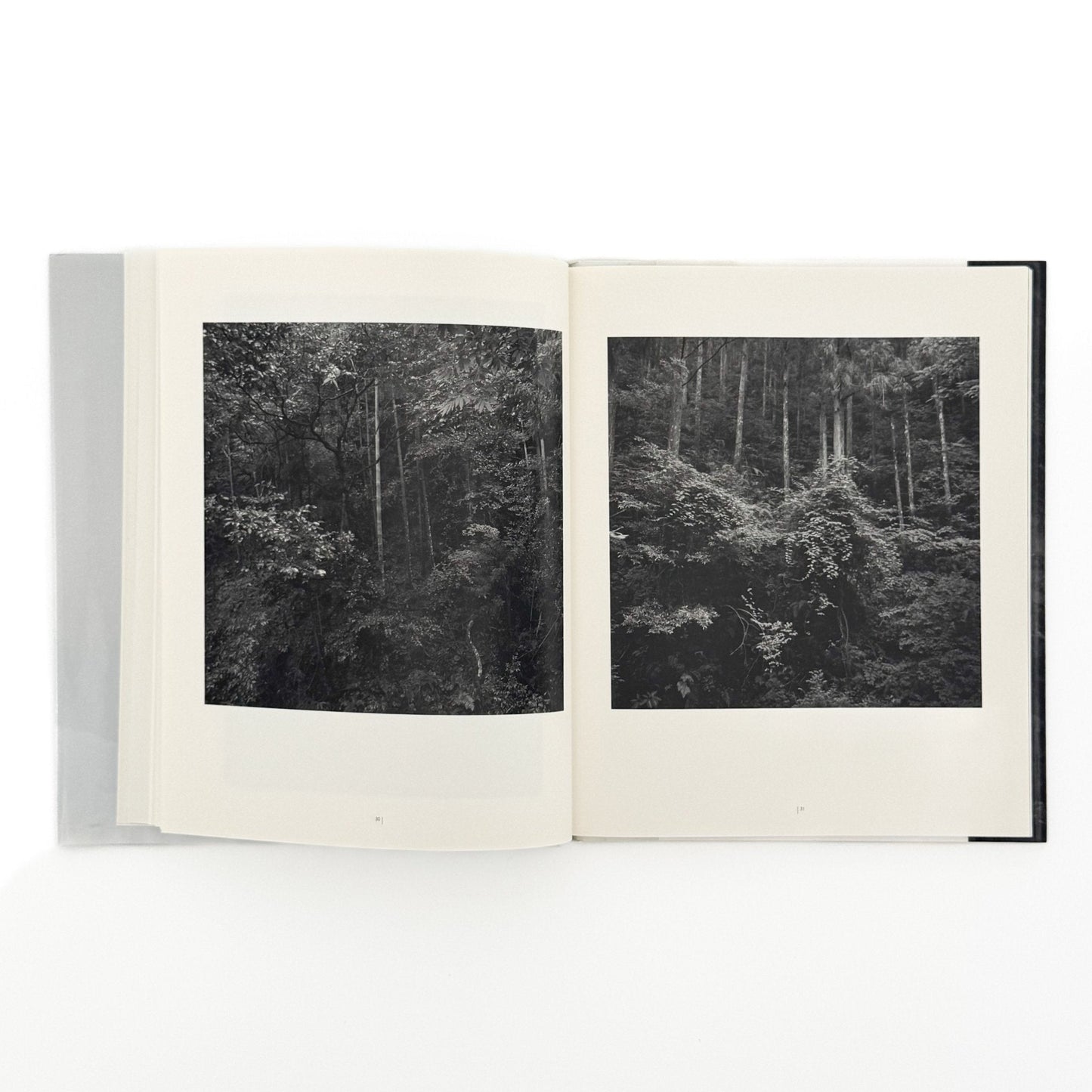 （独英文）畠山直哉 、バルタザール・ブルクハルト写真展図録　ふたつの山 - Executive Committee of Two Mountains - 文福