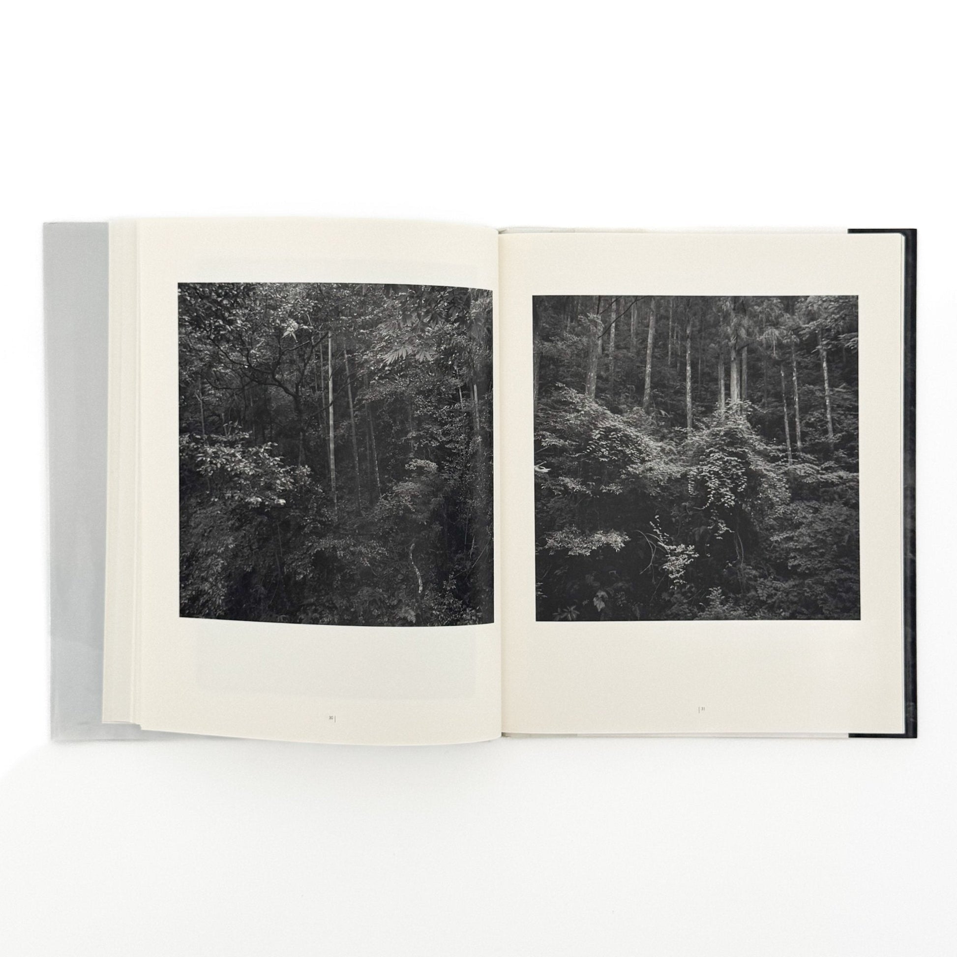 （独英文）畠山直哉 、バルタザール・ブルクハルト写真展図録　ふたつの山 - Executive Committee of Two Mountains - 文福