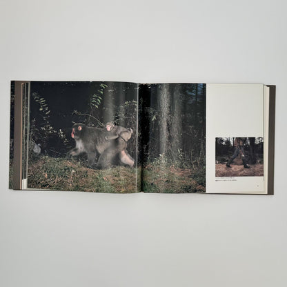 宮崎学　けもの道の四季 - 平凡社 - 文福