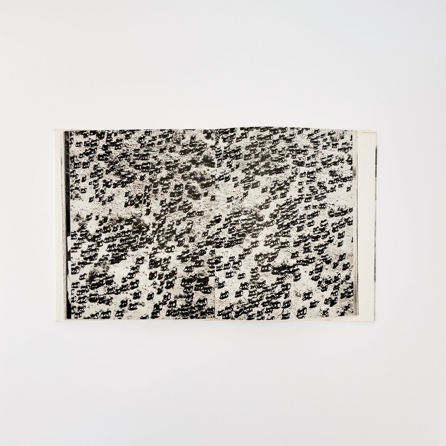 ピーター・ビアード　楽園からの最後の言葉 - 集英社 - 文福