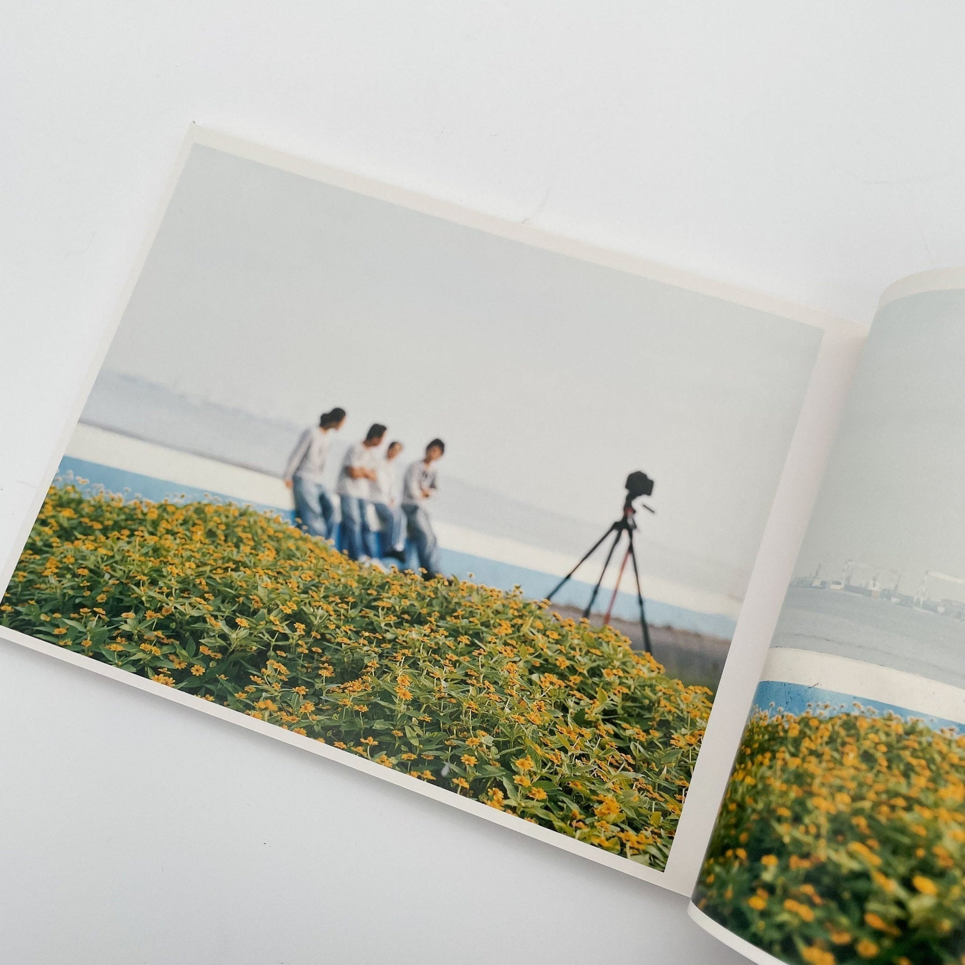 浅田政志　浅田家 - 赤々舎 - 文福