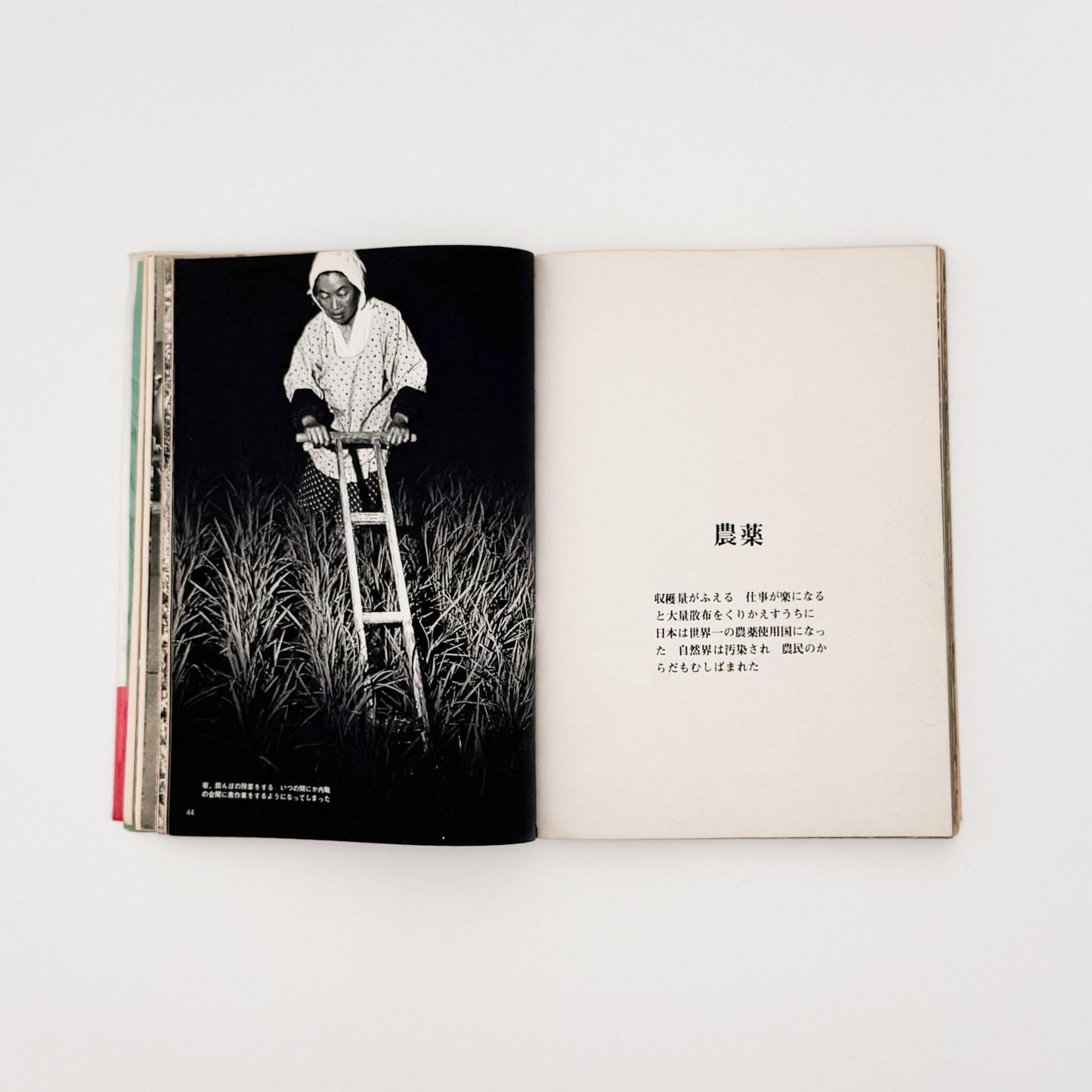 写真記録　農村からの証言　 - 英伸三 / HANABUSA Shinzo - 文福