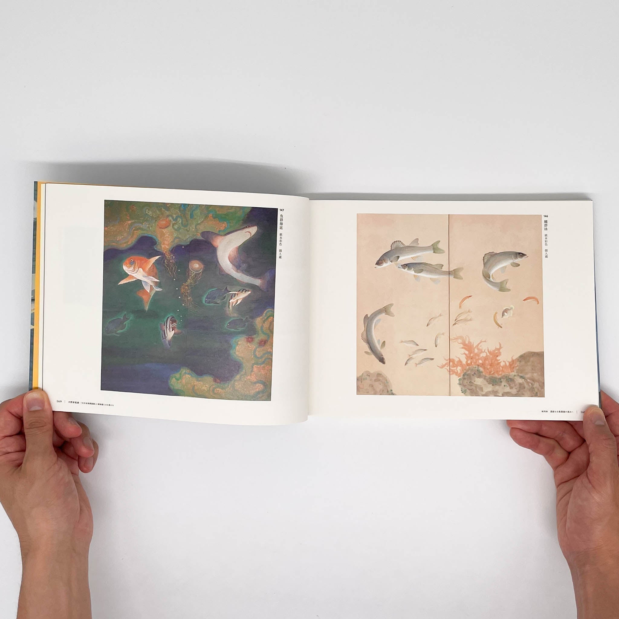 大野麥風展 「大日本魚類画集」と博物画にみる魚たち （展覧会図録