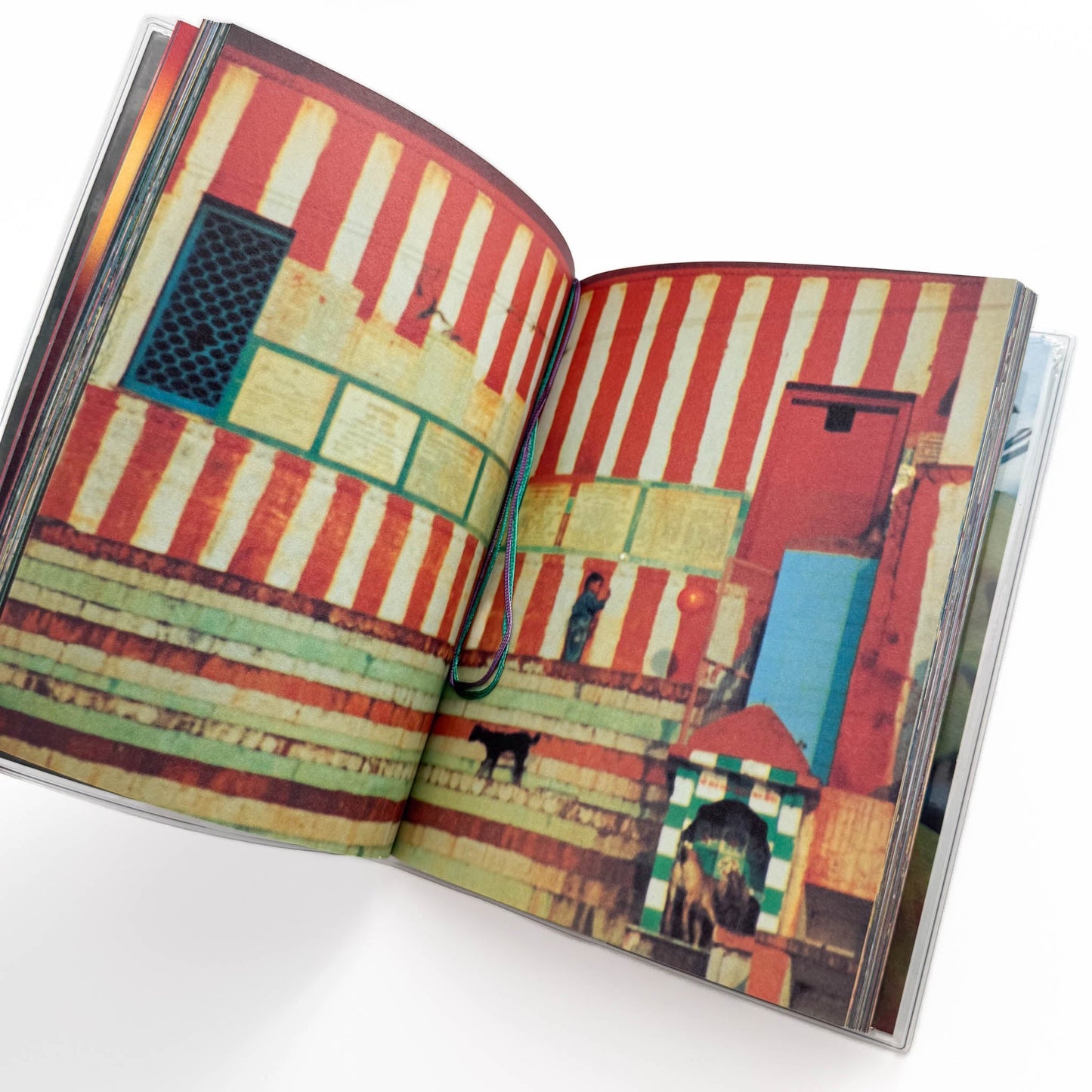 蜷川実花　Pink Rose Suite （新装版） エディション・トレヴィル