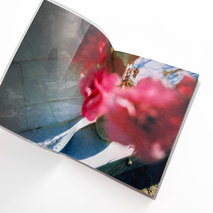 蜷川実花　Pink Rose Suite （新装版） エディション・トレヴィル