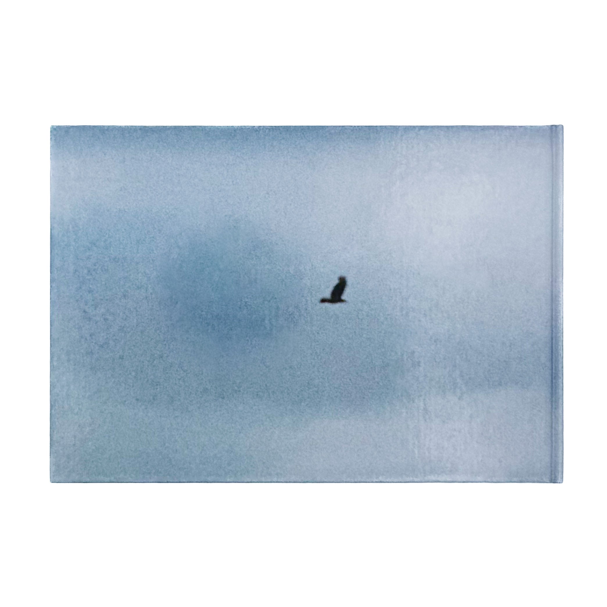 畠山直哉写真集 A BIRD, BLAST #130 – 文福