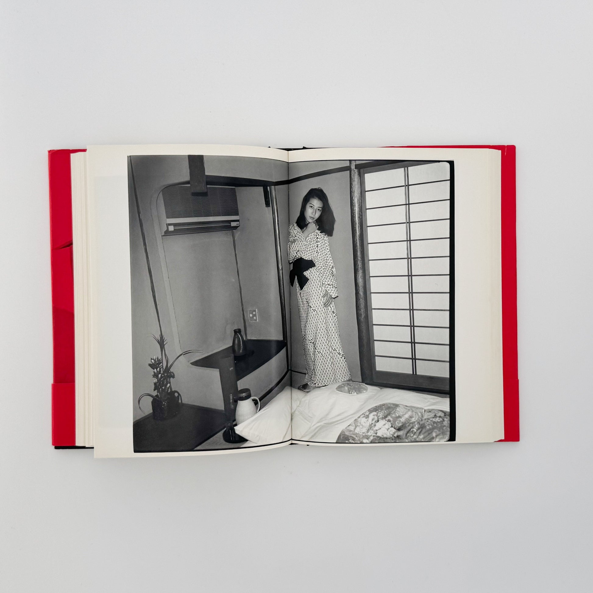 荒木経惟　写真私情主義 平凡社