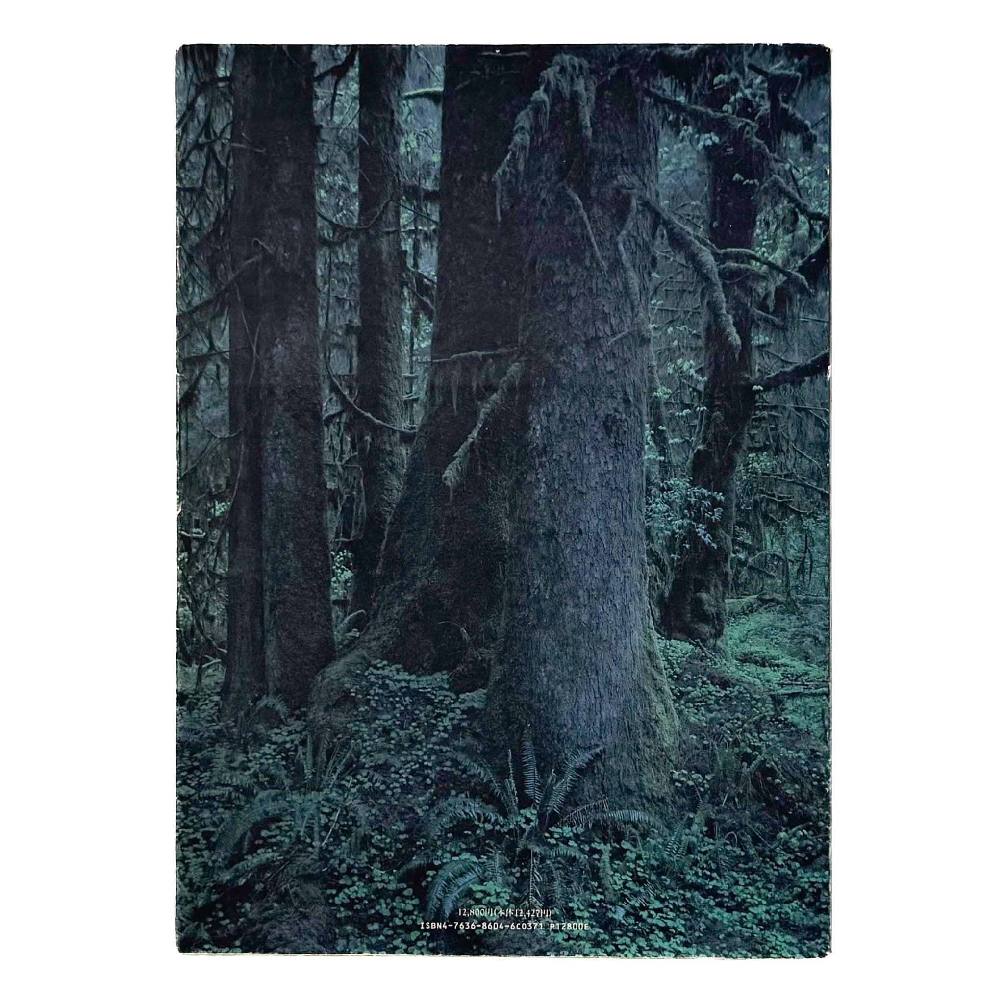 クウィノルト　Quinault 上田義彦写真集 上田義彦写真集 クウィノルト Quinault (元版初版）/ 京都書院 – 文福