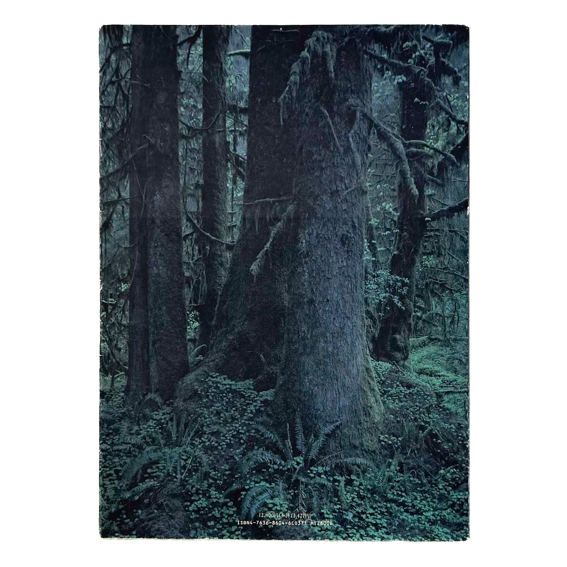 上田義彦　クウィノルト　Quinault - 京都書院 - 文福