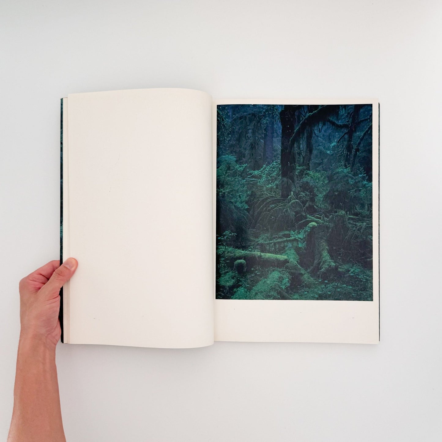 上田義彦　クウィノルト　Quinault - 京都書院 - 文福