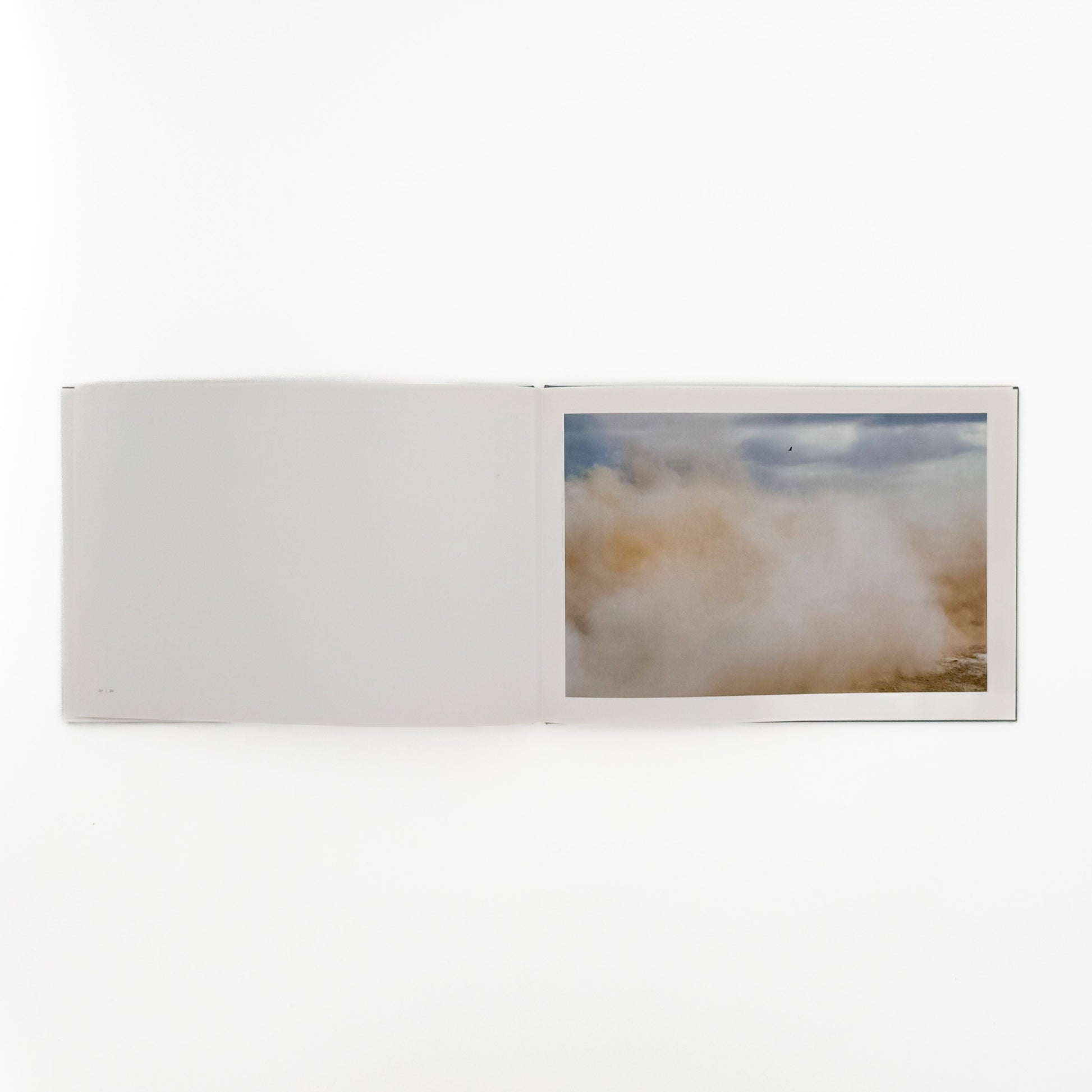 畠山直哉　A BIRD, BLAST #130 Taka Isii Gallery