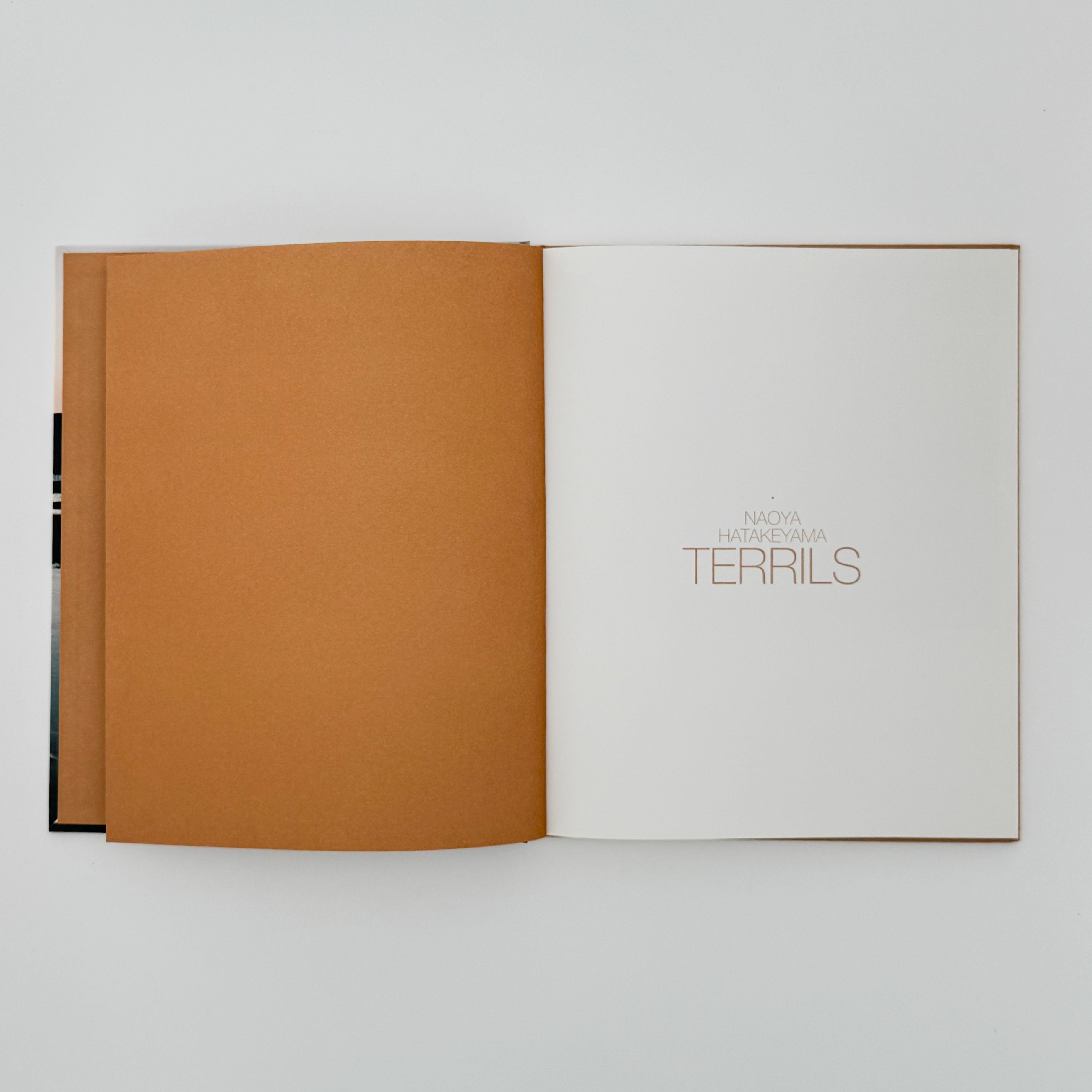 仏文) 畠山直哉写真集 TERRILS – 文福