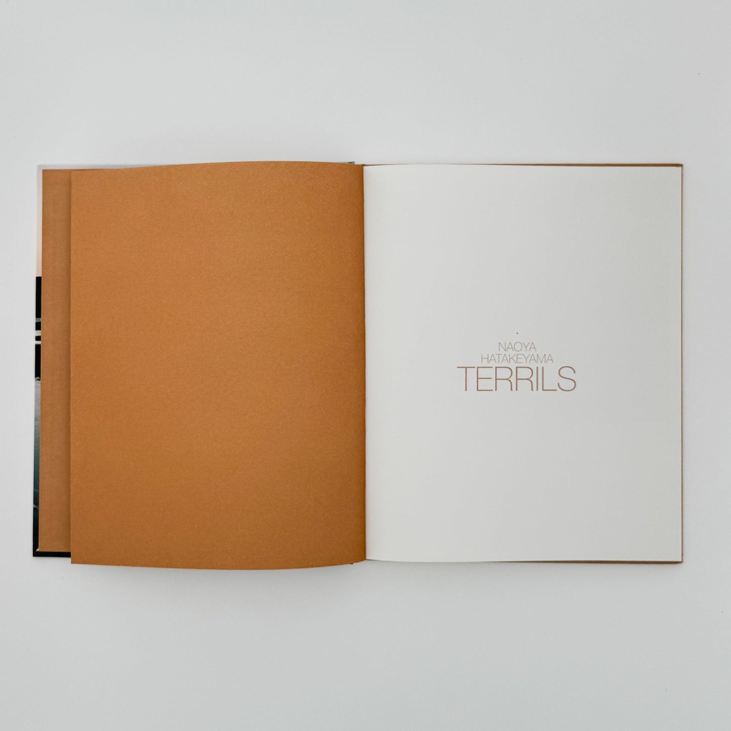 畠山直哉　TERRILS LIGHT MOTIV