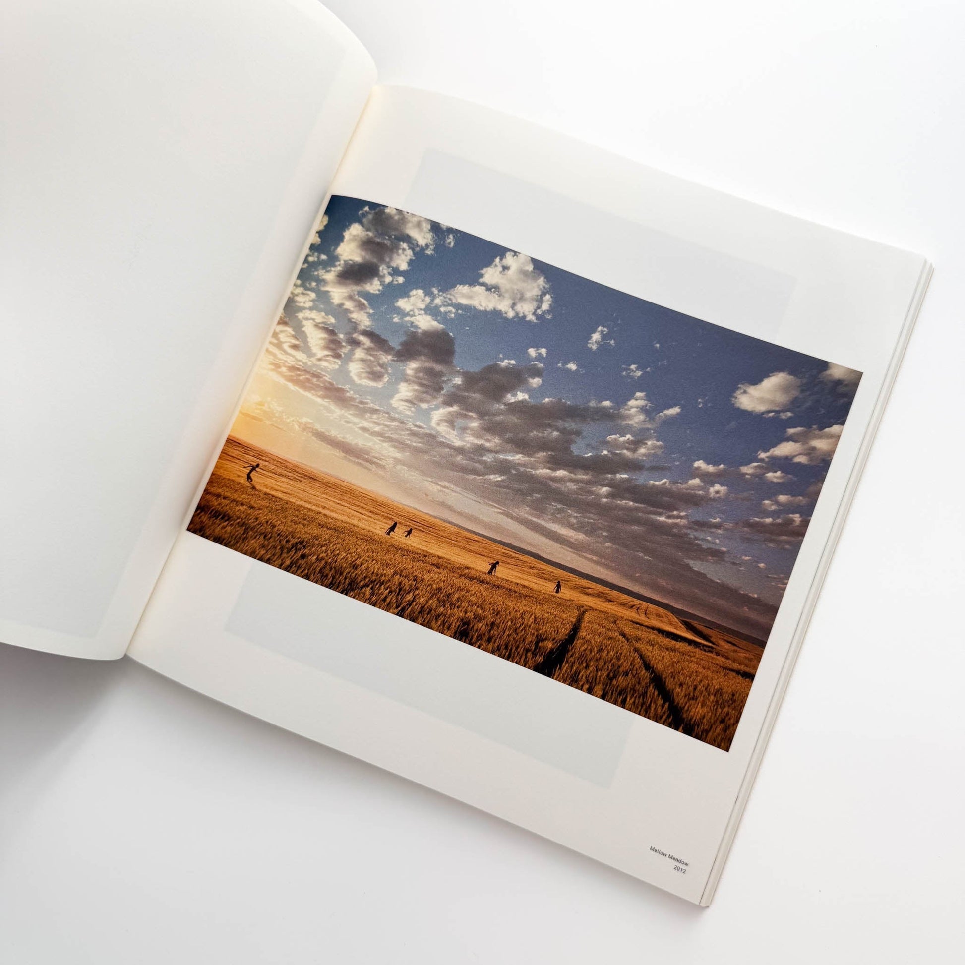 ライアン・マッギンレー展　BODY LOUD ! 東京オペラシティ文化財団