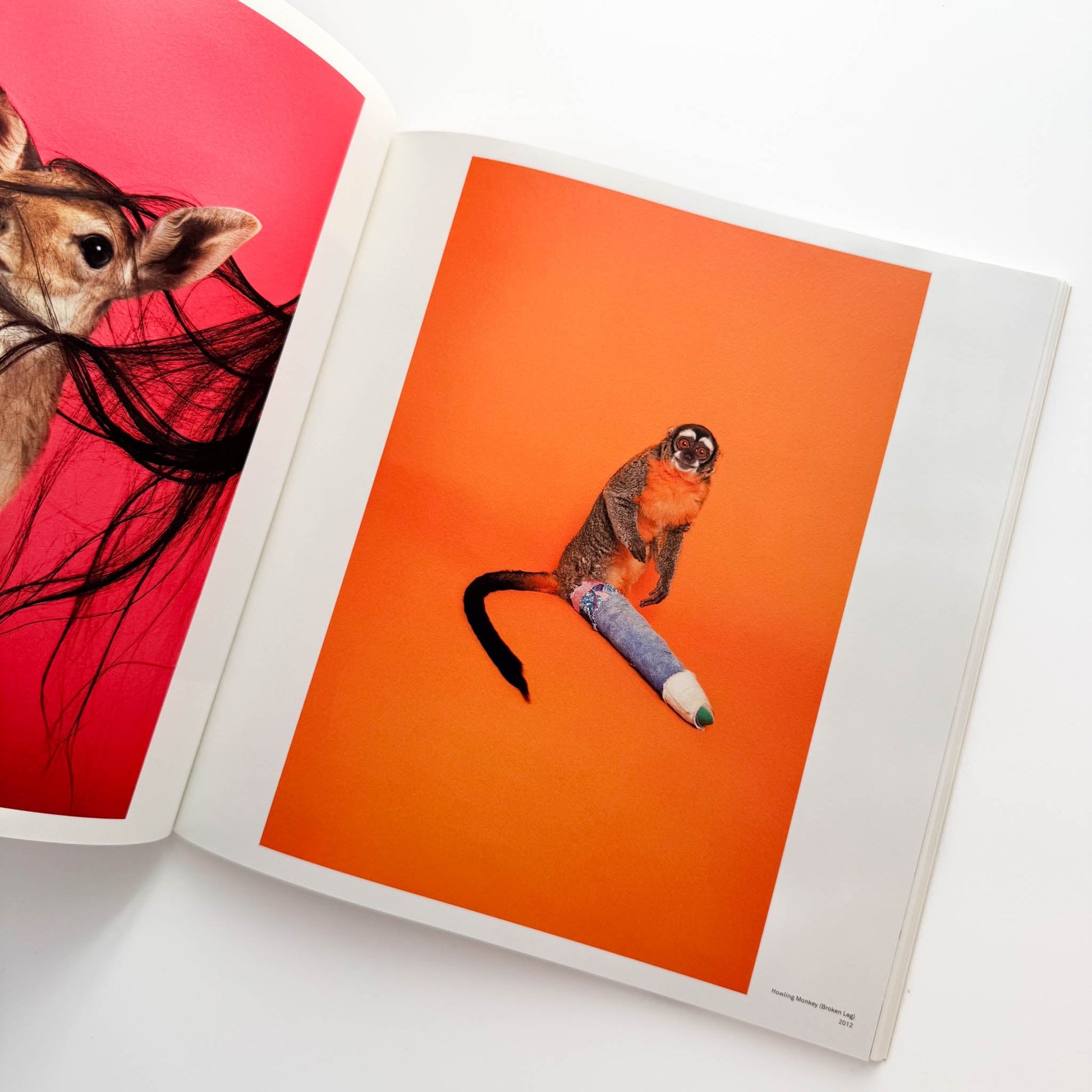 ライアン・マッギンレー展　BODY LOUD ! 東京オペラシティ文化財団