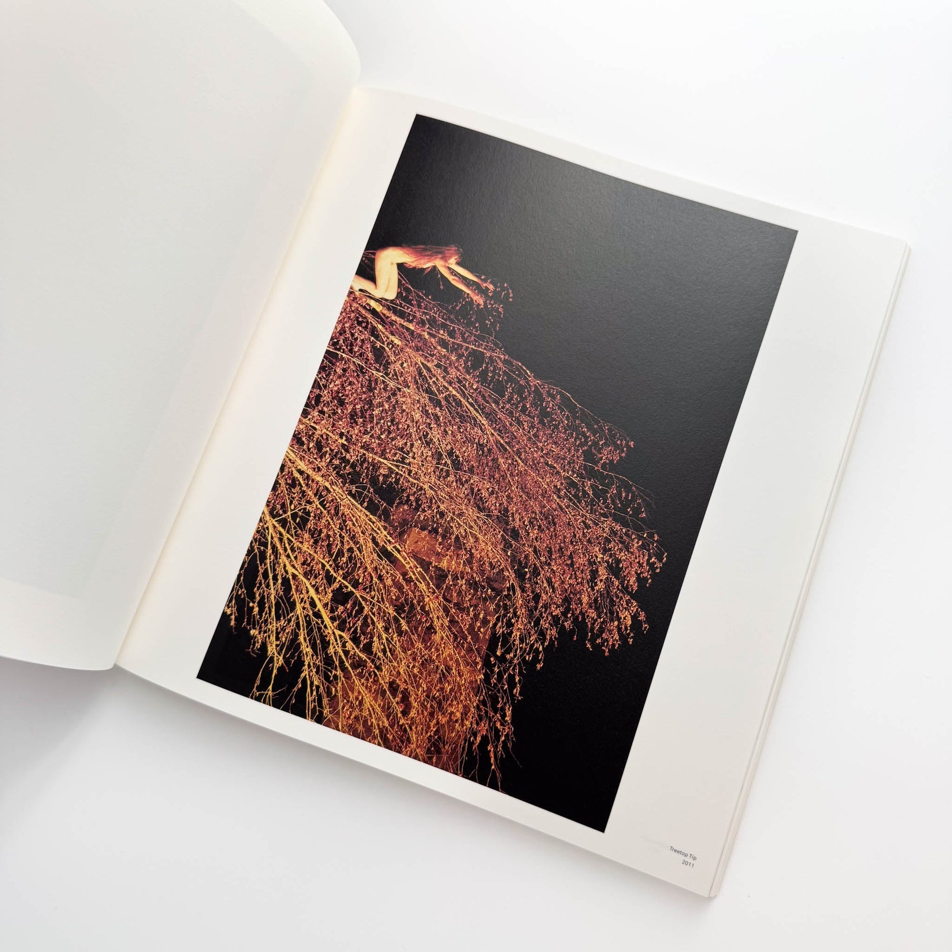 ライアン・マッギンレー展　BODY LOUD ! 東京オペラシティ文化財団