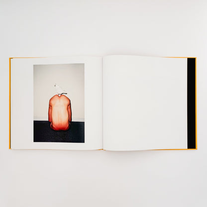 任航 : Ren Hang　Republic - Editions du LIC - 文福