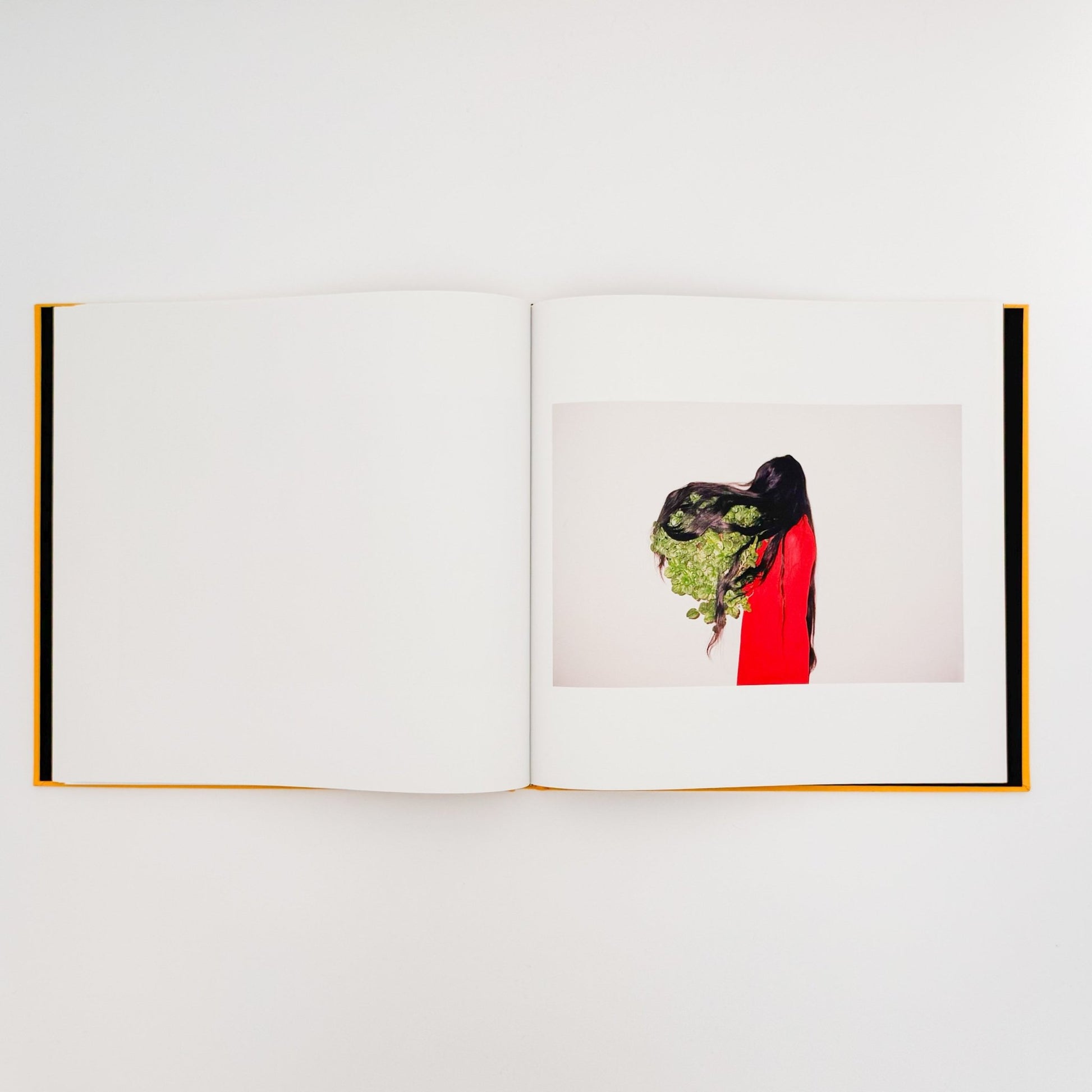 任航 : Ren Hang　Republic - Editions du LIC - 文福