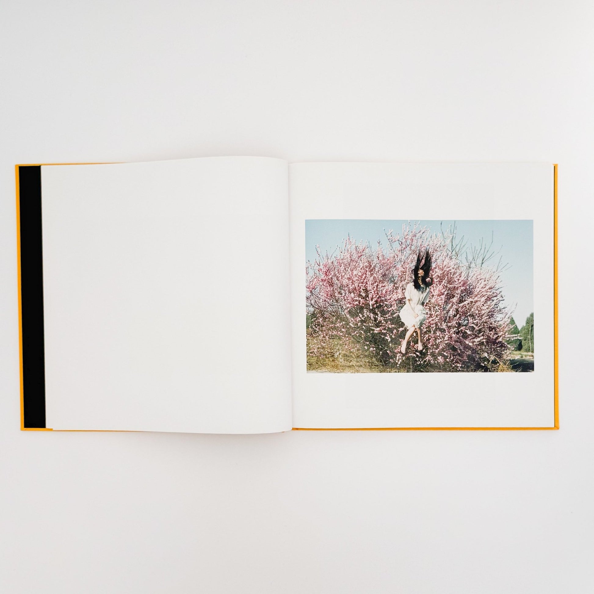 任航 : Ren Hang　Republic - Editions du LIC - 文福