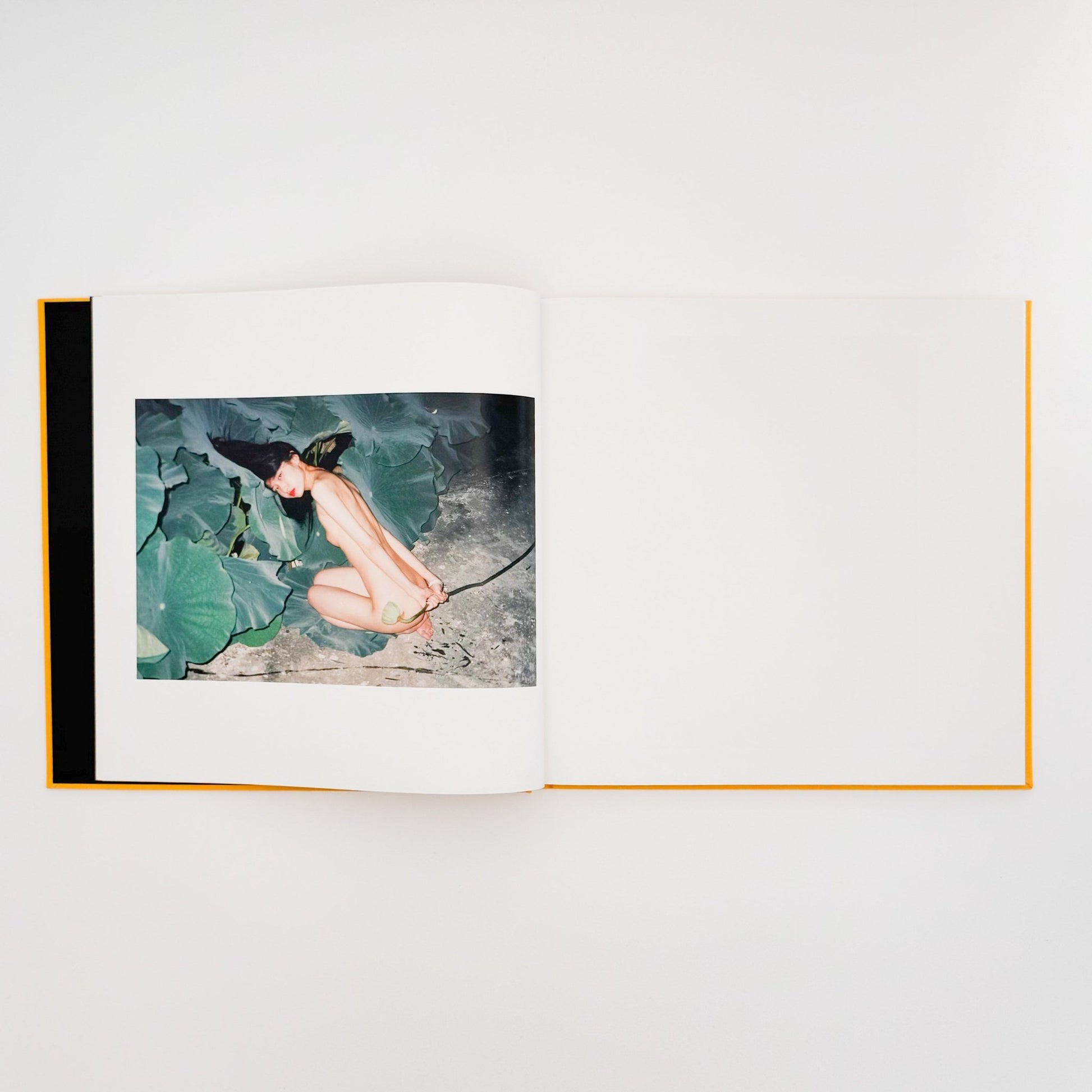 任航 : Ren Hang　Republic - Editions du LIC - 文福