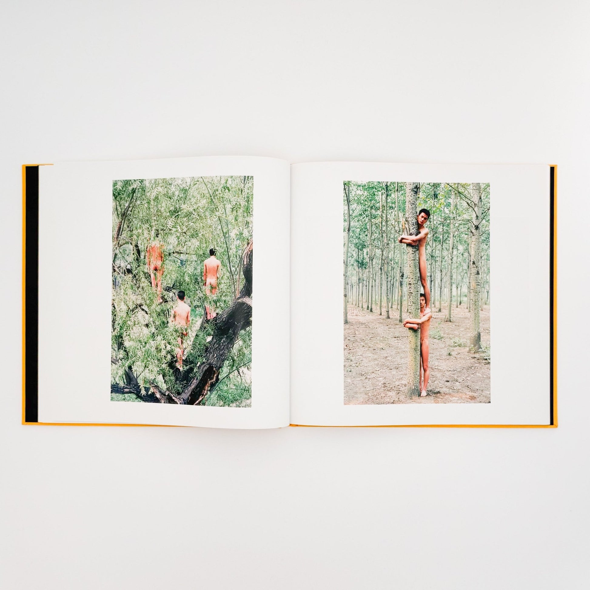 任航 : Ren Hang　Republic - Editions du LIC - 文福
